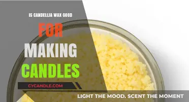 Candellia Wax for Candles: Benefits, Uses, and Quality Insights