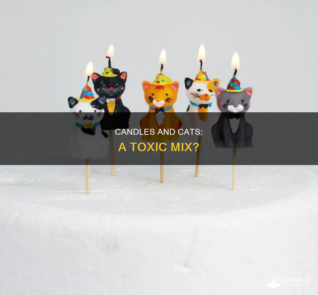 is candle bad for cats