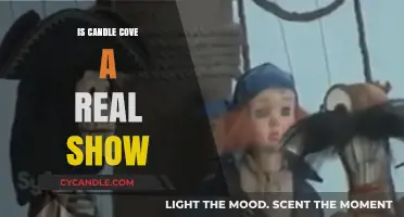Candle Cove: Fact or Fiction?
