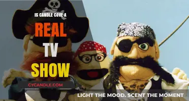 Candle Cove: Fact or Fiction?