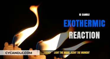 How Candles Burn: Exothermic Reaction Explained