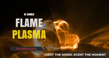 Candle Flames: Plasma or Not?