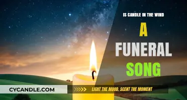 Candle in the Wind: A Funeral Song's True Meaning