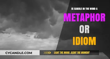 What's the Meaning Behind "Candle in the Wind"?
