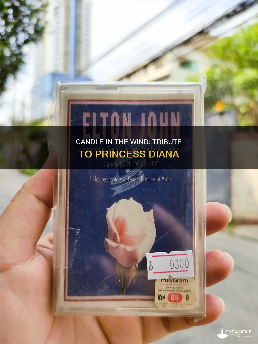 is candle in the wind about diana