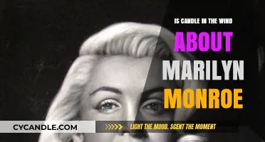 Marilyn Monroe: The True Inspiration for Candle in the Wind