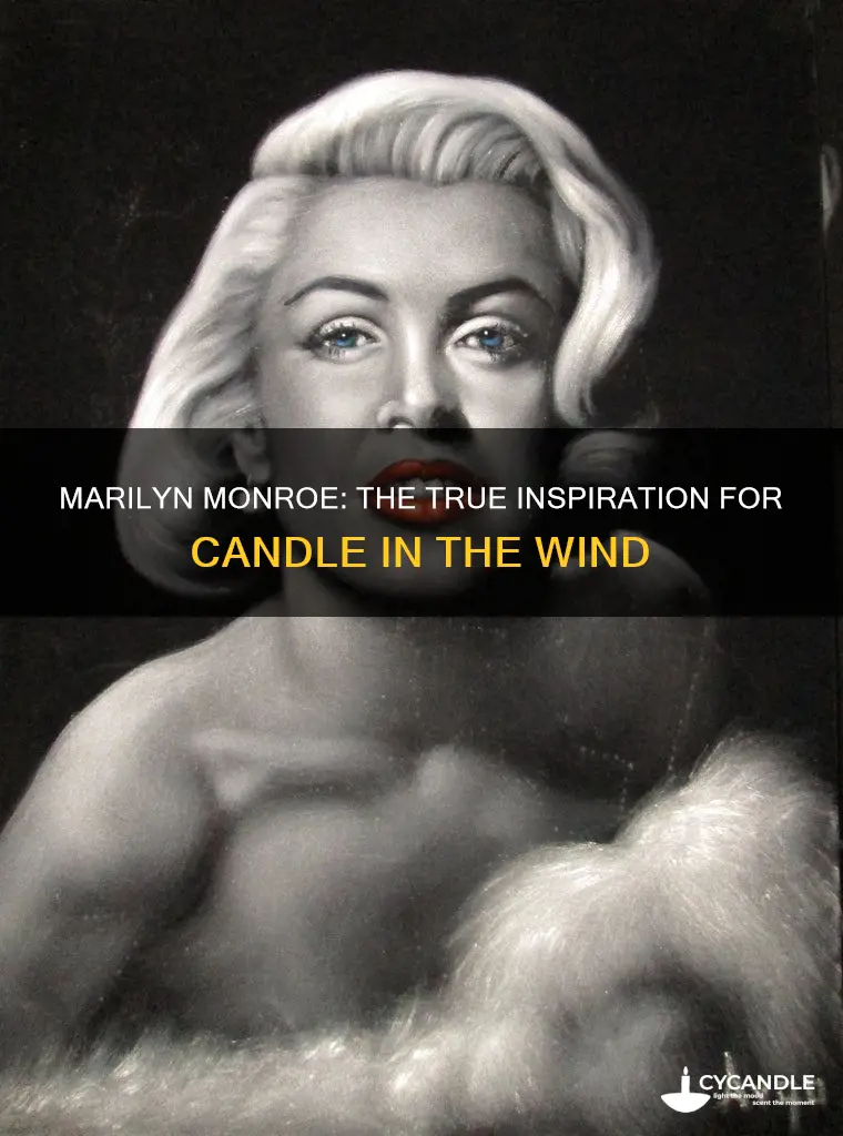 is candle in the wind about marilyn monroe