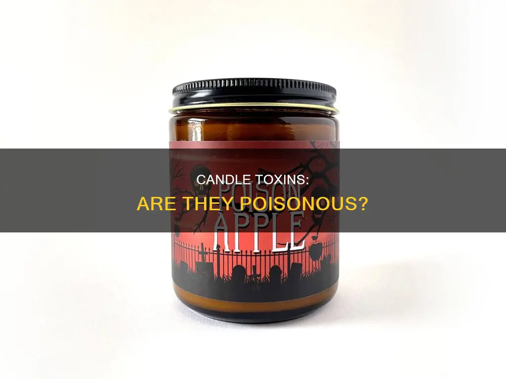 is candle poisonous