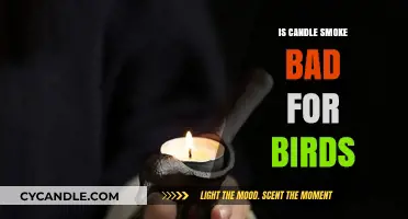 Candle Smoke: A Danger to Pet Birds?