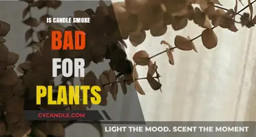 Candle Smoke and Plants: A Healthy Mix?