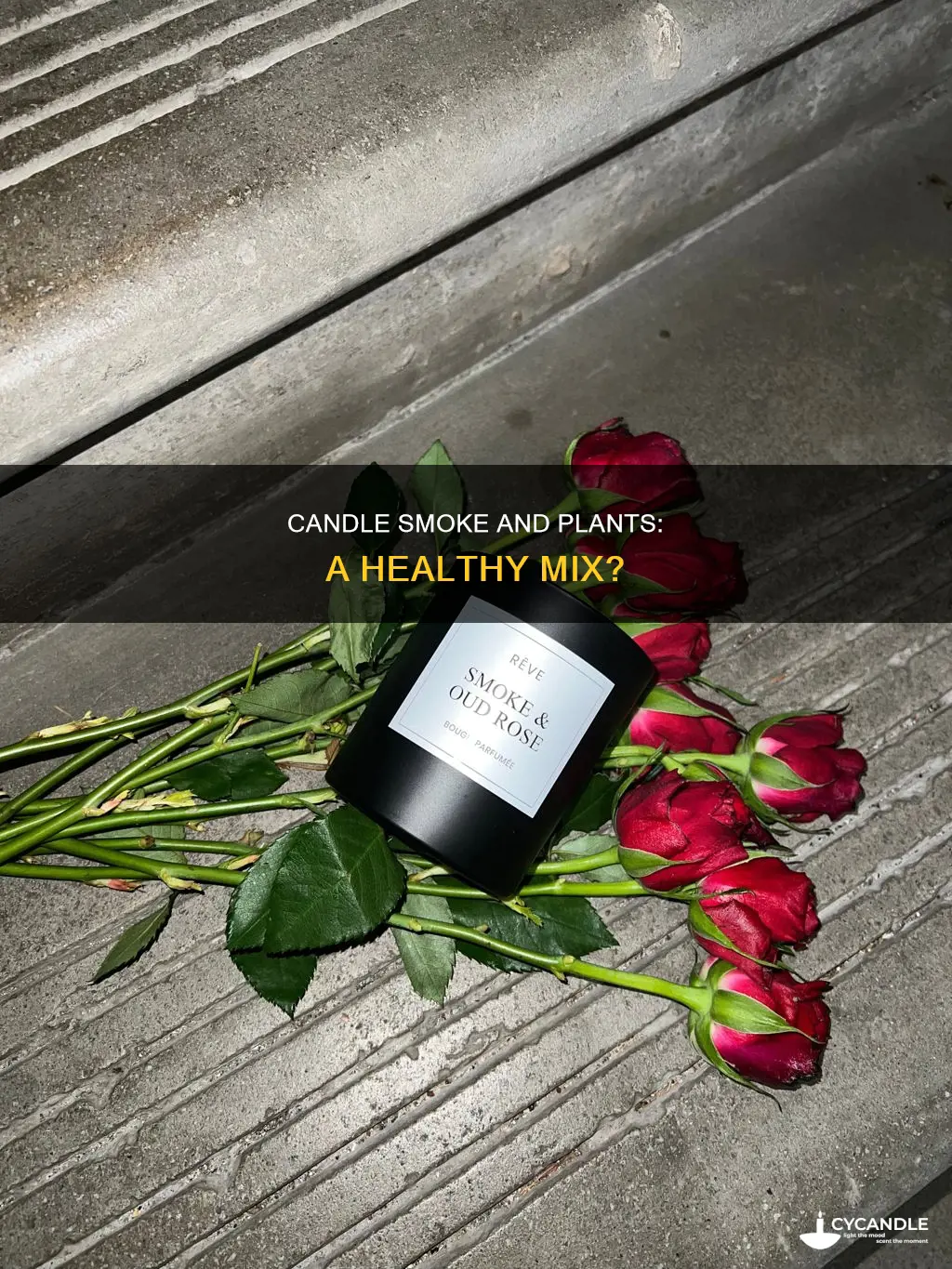 is candle smoke bad for plants