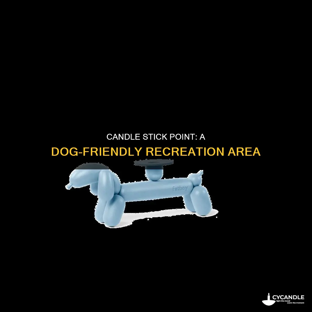 is candle stick point state recreation area dogs friendly