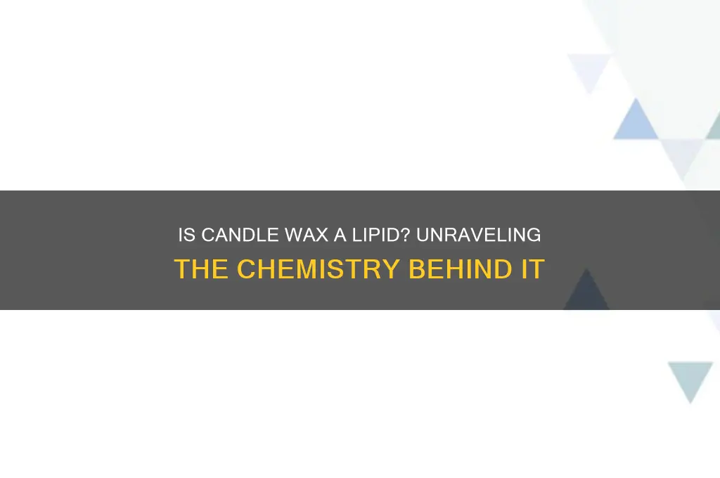 is candle wax a lipid