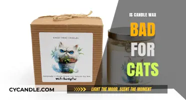 Is Candle Wax Toxic to Cats? What Pet Owners Need to Know