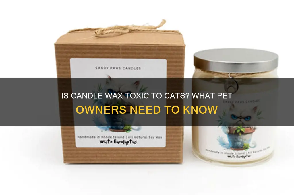 is candle wax bad for cats