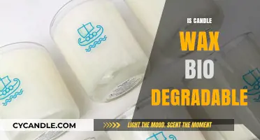 Is Candle Wax Eco-Friendly? Biodegradability Explained Simply