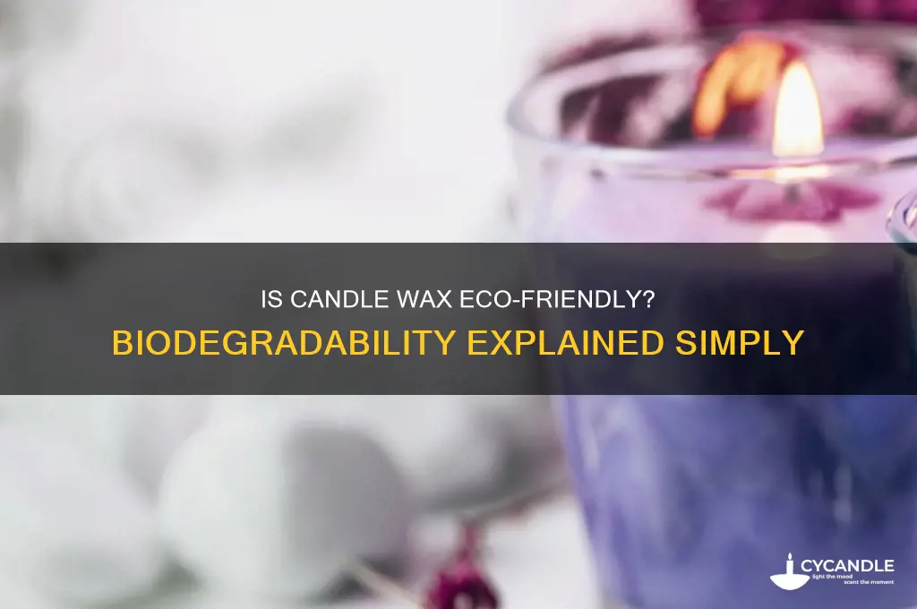 is candle wax bio degradable