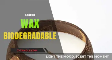Is Candle Wax Eco-Friendly? Exploring Its Biodegradability and Impact