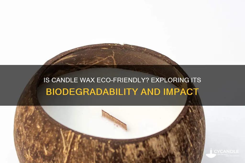 is candle wax biodegradable
