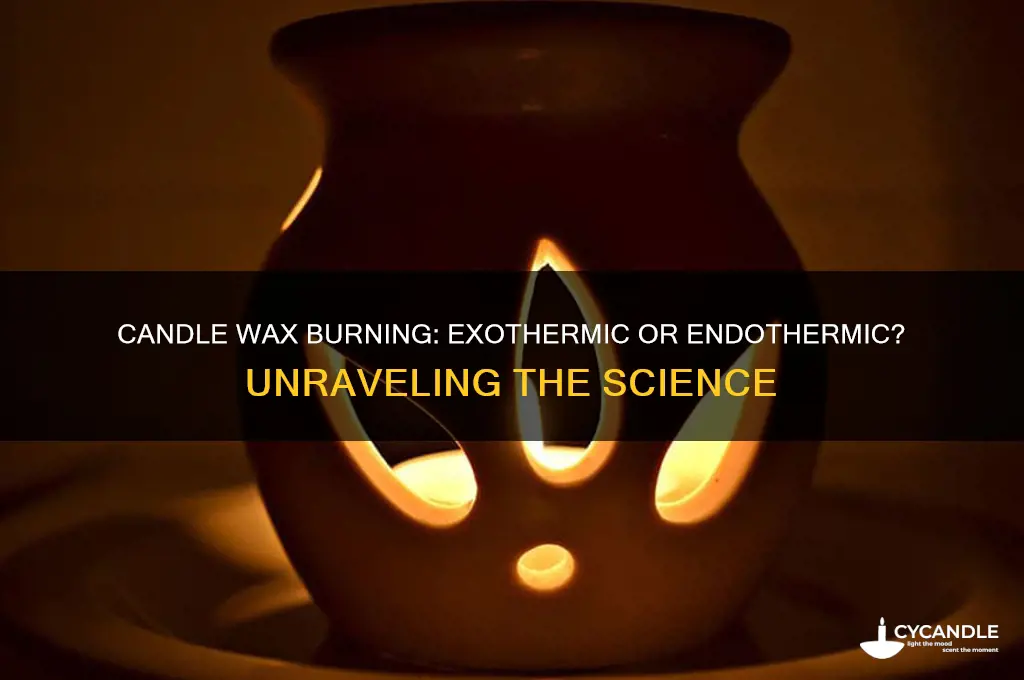 is candle wax burning exothermic or endothermic