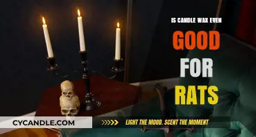 Is Candle Wax Safe for Rats? Surprising Facts Revealed