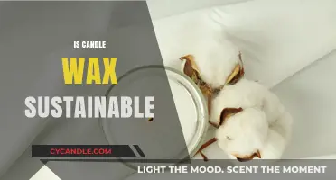 Is Candle Wax Eco-Friendly? Exploring Sustainable Wax Alternatives