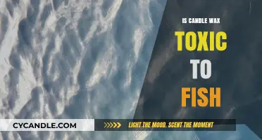 Is Candle Wax Harmful to Fish? A Comprehensive Guide