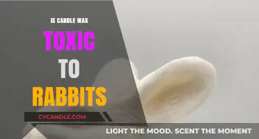 Is Candle Wax Toxic to Rabbits? Essential Safety Tips for Pet Owners