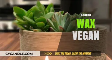 Is Candle Wax Vegan? Uncovering the Truth Behind Your Favorite Scents