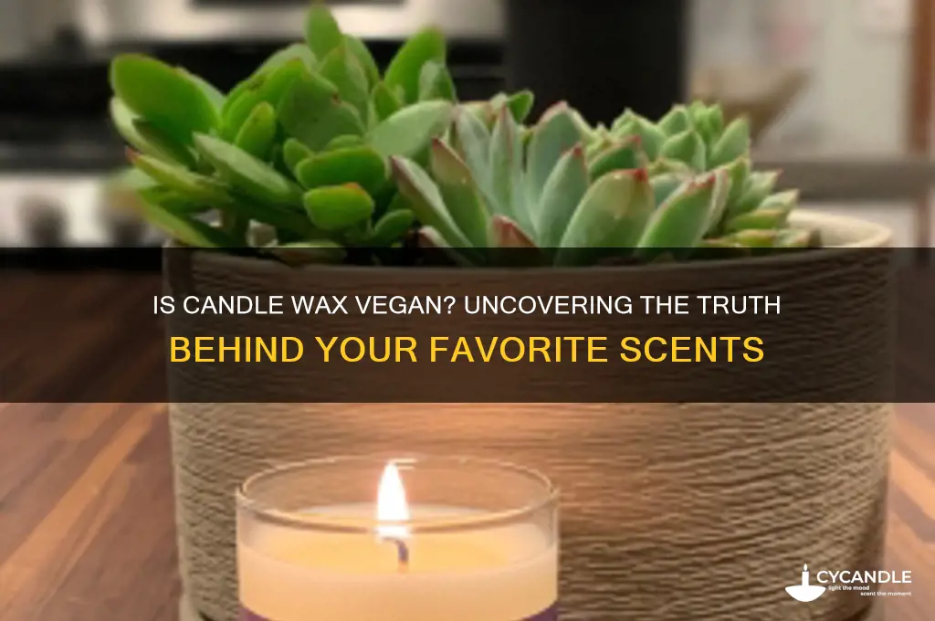 is candle wax vegan