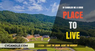 Candler, NC: A Great Place to Live?