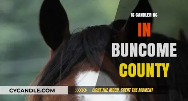 Candler, NC: Buncombe County's Gem