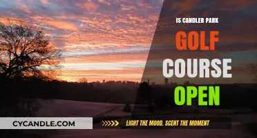 Candler Park Golf Course: Open for Business?
