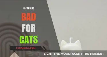 Candles and Cats: A Toxic Mix?