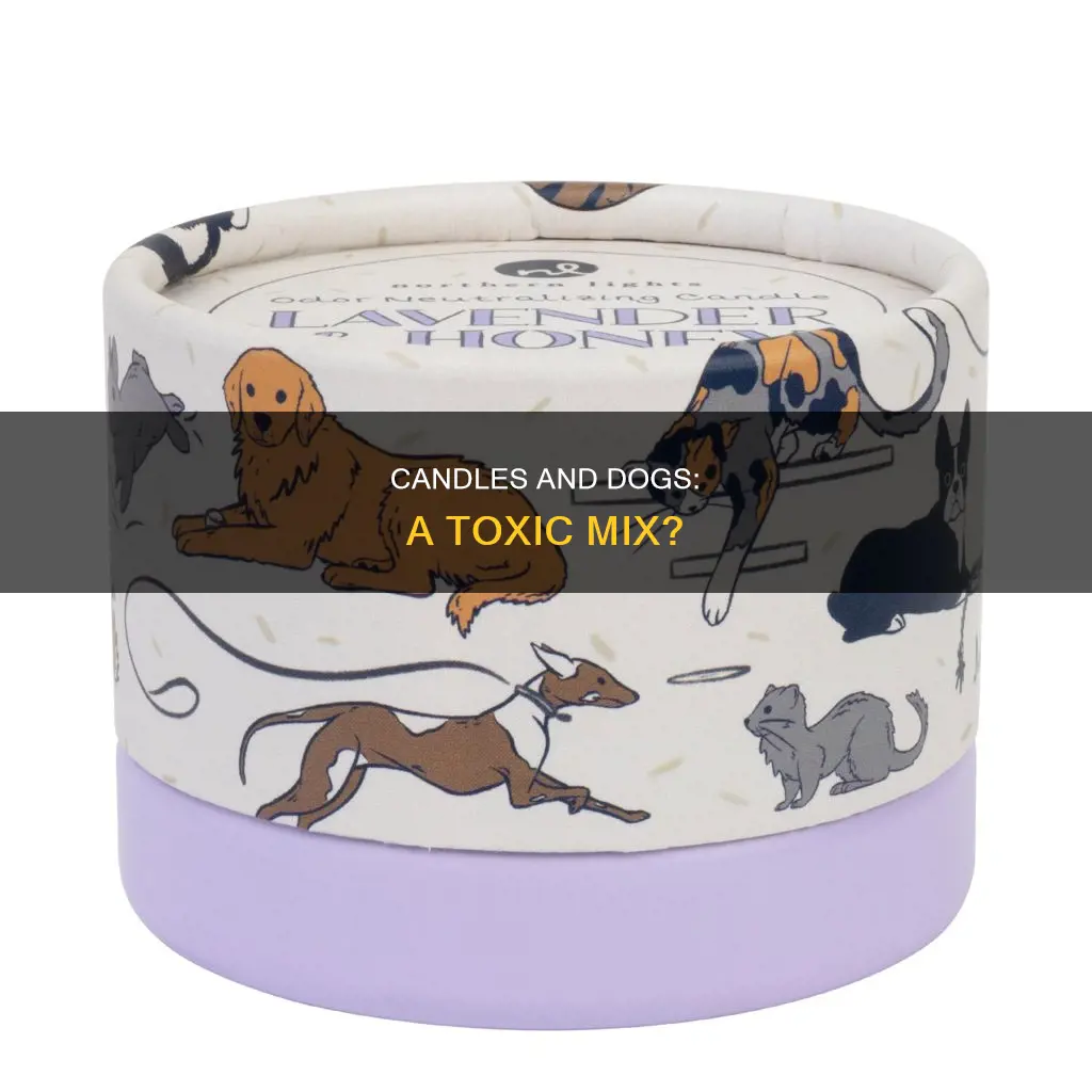 is candles bad for dogs