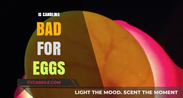 Candling Eggs: Harmful or Helpful?
