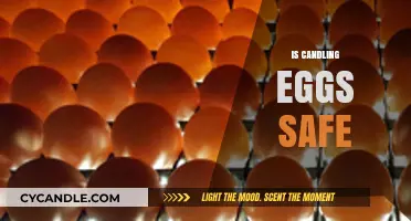 Is Candling Eggs Safe? A Comprehensive Guide to Egg Inspection