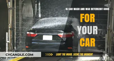 The Truth About Car Wash and Wax Detergents: Are They Safe?