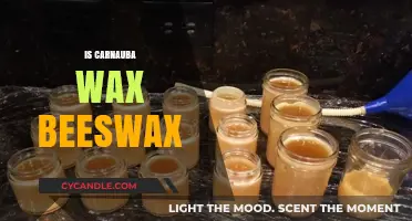 Carnauba Wax vs. Beeswax: Understanding the Key Differences and Uses