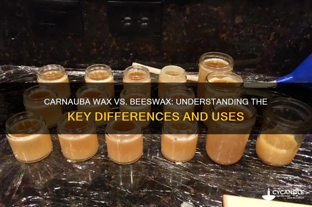 is carnauba wax beeswax