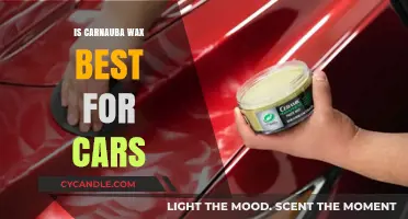 Unveiling the Truth: Is Carnauba Wax the Ultimate Car Care Solution?