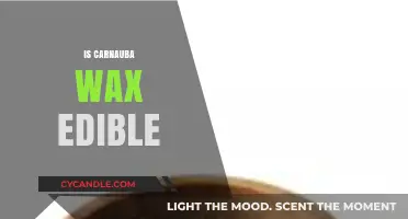 Exploring the Edibility of Carnauba Wax: A Comprehensive Guide