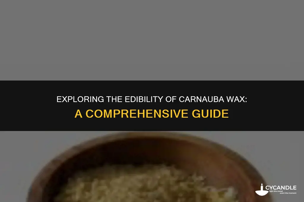 is carnauba wax edible