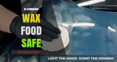 Exploring the Safety of Carnauba Wax in Food Products