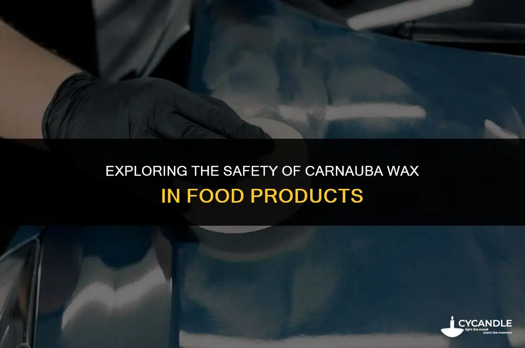 is carnauba wax food safe