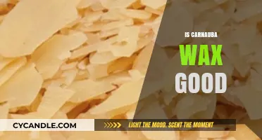 Unlocking the Secrets of Carnauba Wax: A Comprehensive Guide