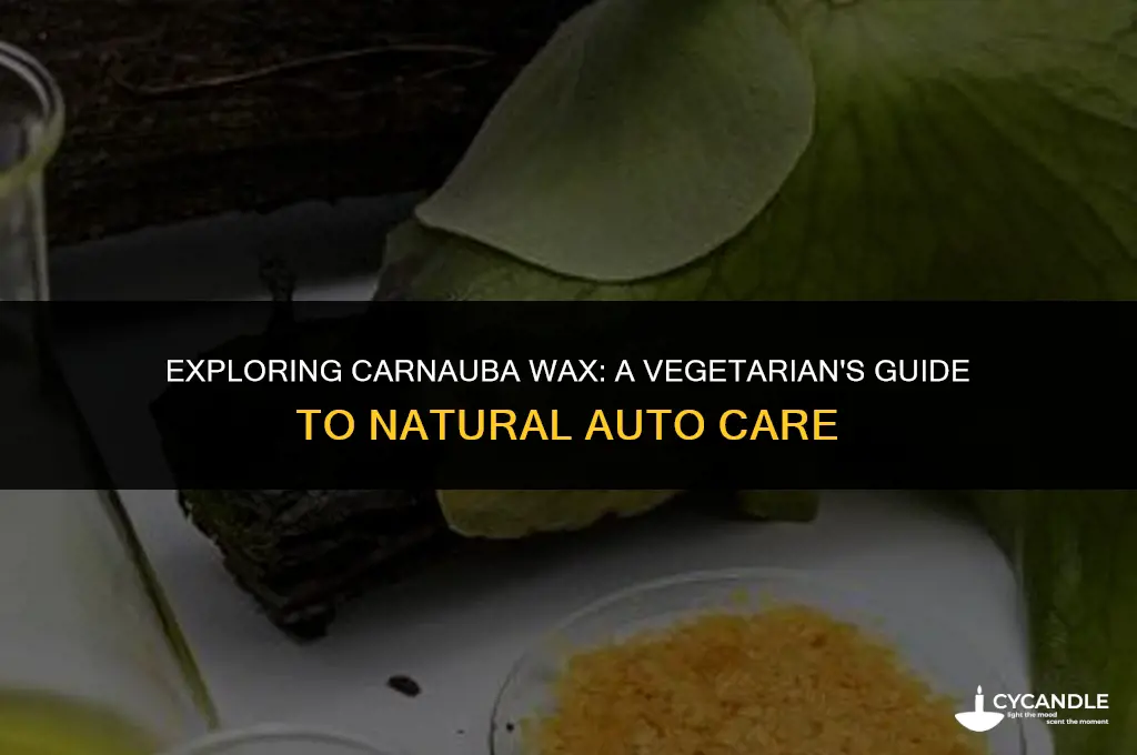 is carnauba wax vegetarian