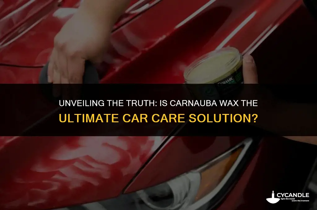 is carnuba the best car wax