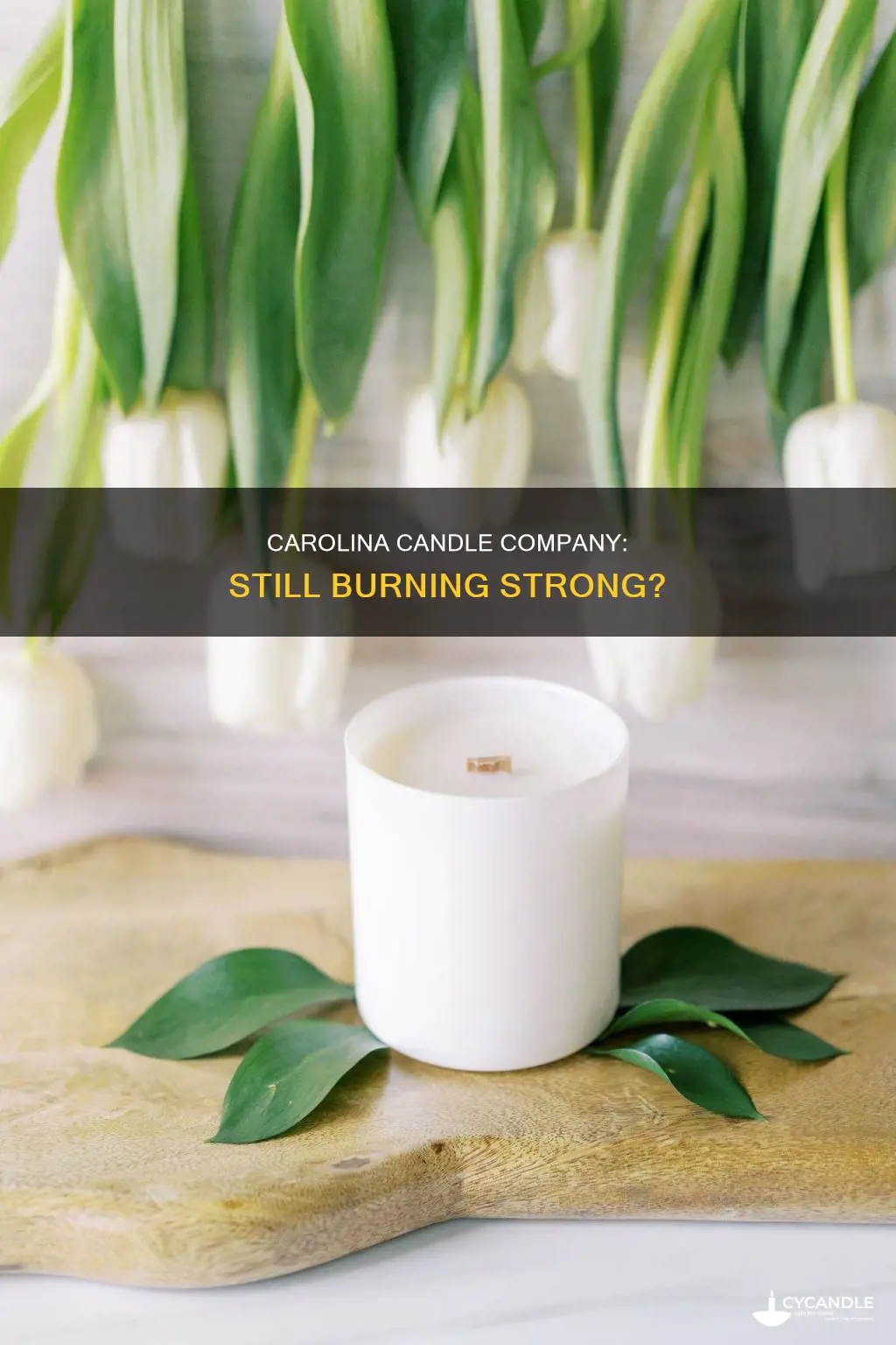 is carolina candle company still in business