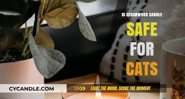 Are Cedarwood Candles Safe for Cats? A Pet Owner's Guide